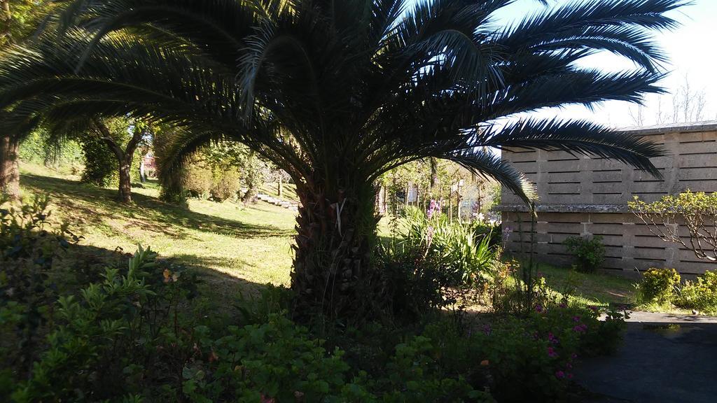Pazo Pias P Ξενοδοχείο Ramallosa Εξωτερικό φωτογραφία